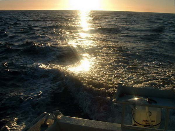 Late Arvo Trolling Late Arvo Trolling